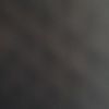 shantilewis